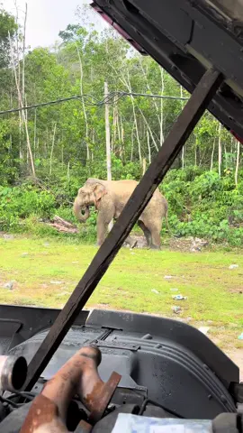 Rezeki jumpa si dia@🄰🅉🄰🄻🄻🅈🄰🅉🄸🅉1980 @Man Alias @ASHGAFF🚛🚀 @BONGSU_5777 @mr john @Ainul Riezz @EMANZ_👀 @bocahjowo @@dek_roy @Asyraf Amin 