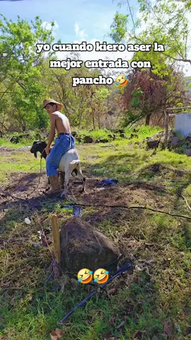 yo dandolema de baquero 🤣#humor #parati #fyp #viralvideo #viraled 