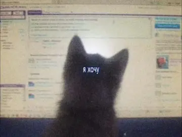 #fyp #щп #бойцовскийклуб #диалог #текстпесни #щитпост 