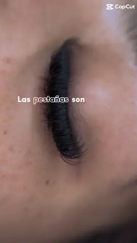 Las pestañas son más que pestañas💕 #olgalashesRioBravo#lashes#pestañas 