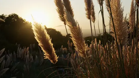 #nhenhang #binhyen #thiennhien #thugian #hoanghon #chill #chualanh #fyp 