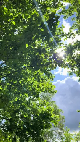 Today was beautiful, like a dream #nature #naturevibes 