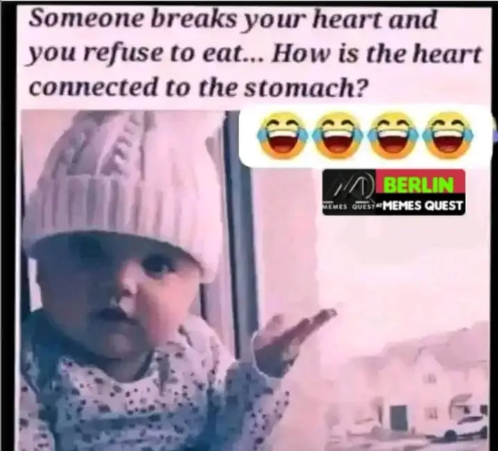 #creatorsearchinsights 