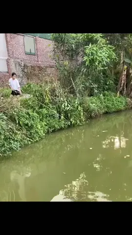 quá đẳng cấp#cauca #fishing 