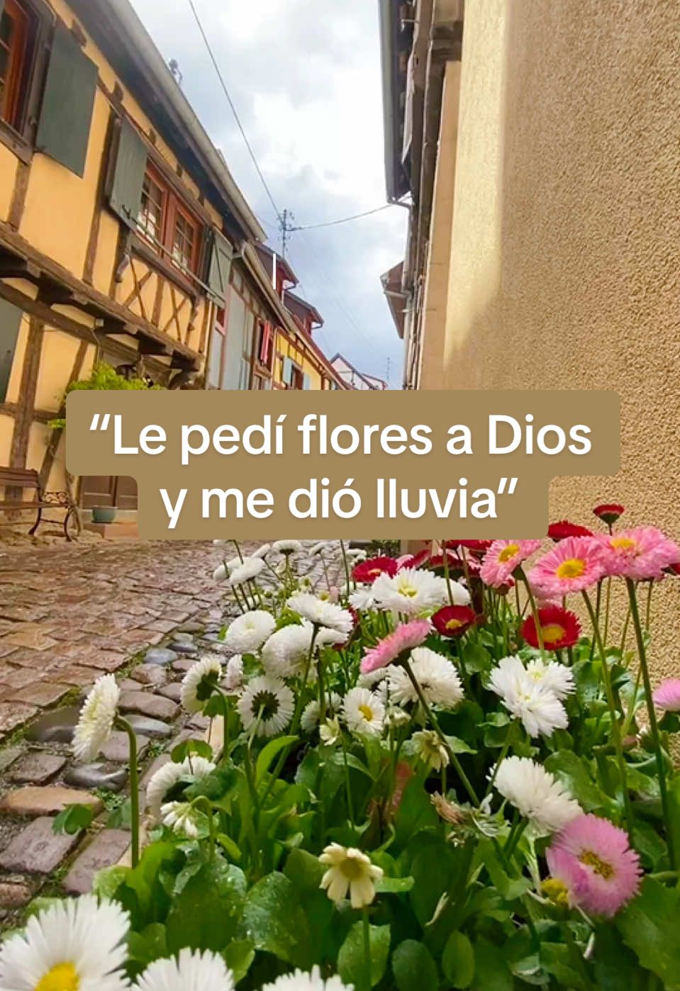 “Le pedí flores a Dios y me dió lluvia” Cuando entiendes esto todo empieza a tener sentido. #Dios #espiritualidad #frasesmotivadoras 