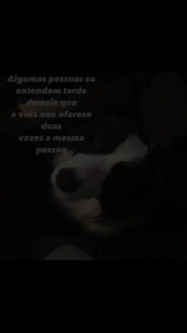 #fyp #foryoupage #frase #vida #ela #capcut_edit #dog #cat #amor 