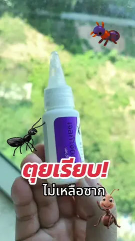 เจลกำจัดมด #เจลกำจัดมด #รีวิวเจลกําจัดมด #แอนท์เบทเจลกําจัดมดยกรัง #มด 