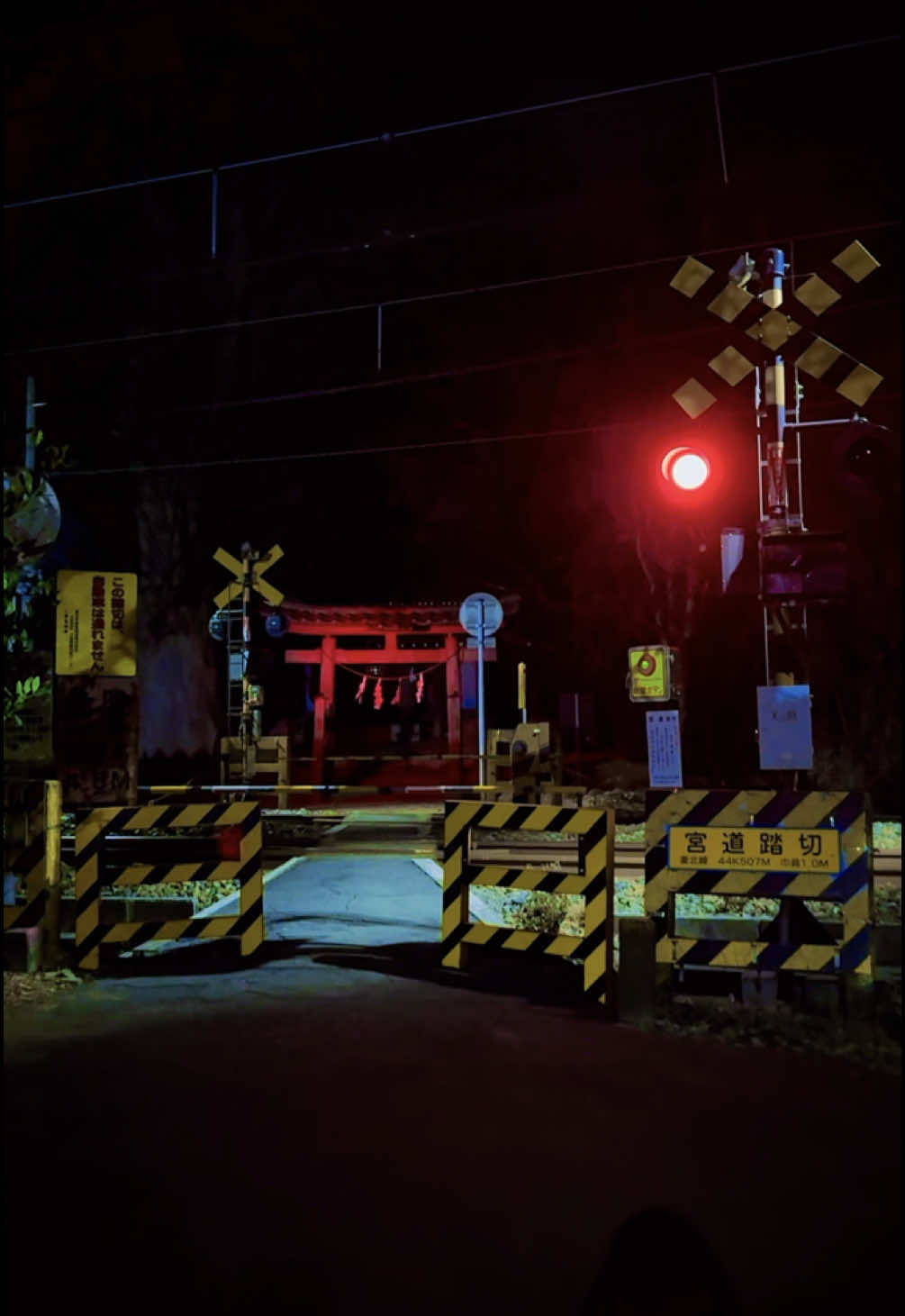 “向こう側”へと続く踏切。 📍埼玉県｜Saitama #日本の風景 #異世界 #踏切 #鷲神社 