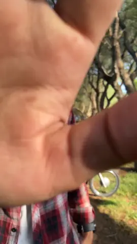 pemula bang🙏😣#fitcheck#outfit #outfitskena #kalcer #astreabulus #astreaindonesia #fyp 