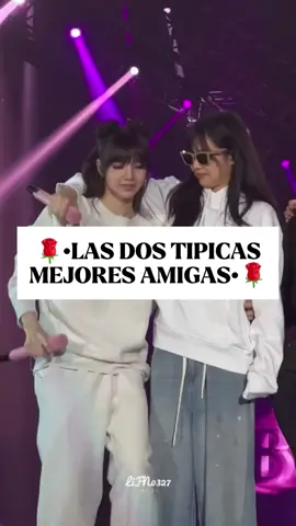 🌹Las dos tipicas mejores amigas🌹 #CapCut #paratiiiiiiiiiiiiiiiiiiiiiiiiiiiiiii #viralvideos #comparteestevideo #contenidoamigas #blackpink #