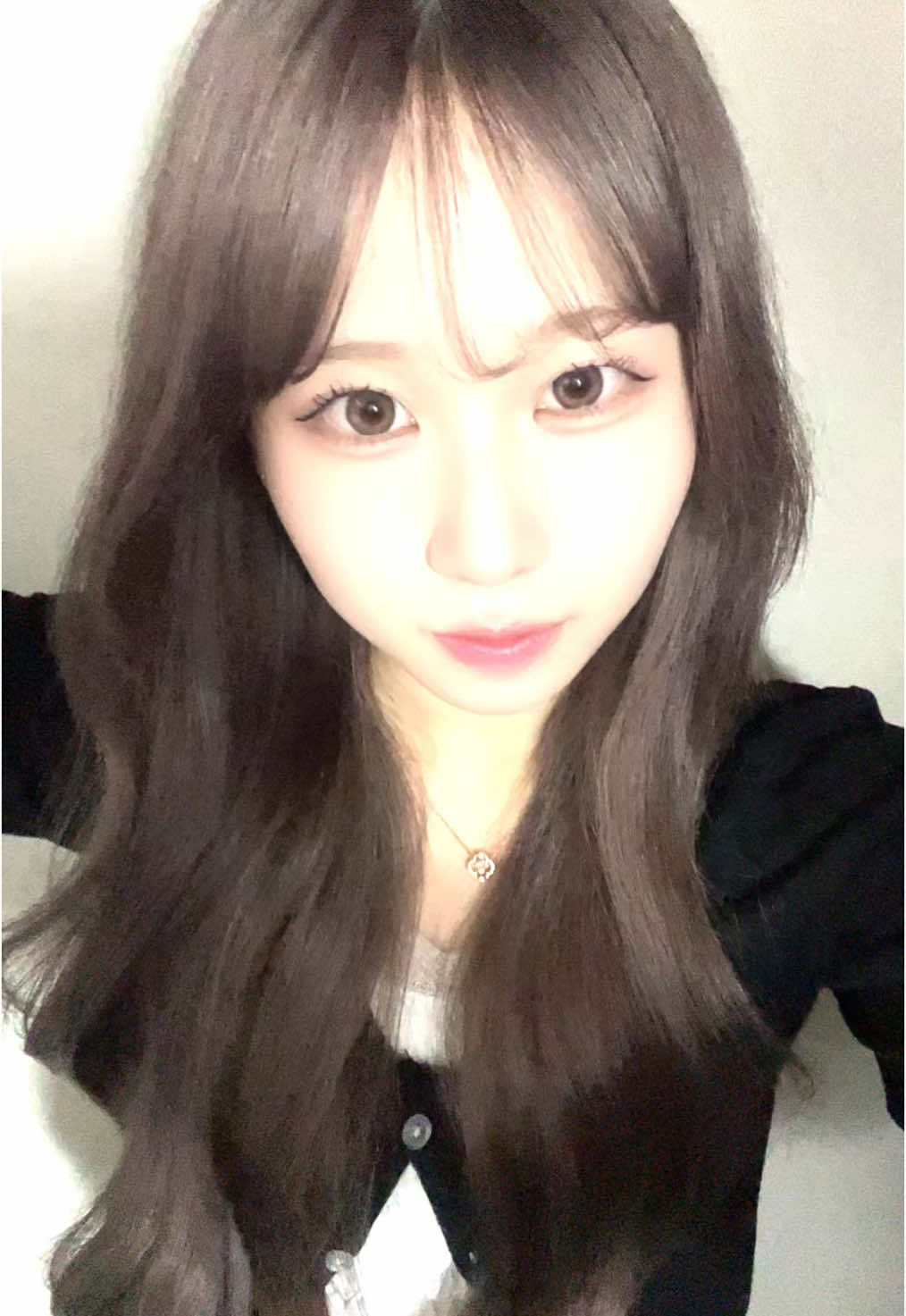 ラベンダーの色落ちかわいい🪻 #美容学生 #06 #fyp#추천 #ラベンダーグレージュ #ラベンダー 