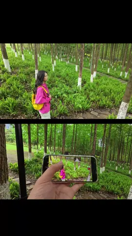 🎥 Capture Cinematic Outdoor Shots with Osmo Pocket 3! Combine it with a simple string to create smooth, cinematic flycam shots. Discover the magic of Osmo Pocket 3 and see what it can create! 😎 #djiosmo #osmopocket3 #cinematic #filmmaking