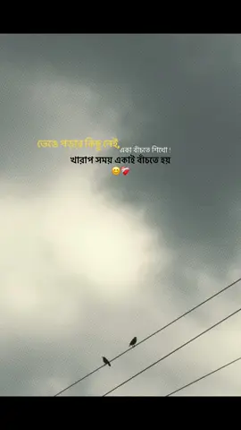 ভেঙে পড়ার কিছু নেই ,একা বাঁচতে শিখো , খারাপ সময় একাই বাঁচতে হয়#foryou #foryoupage #bdtiktokofficial🇧🇩 #fyp @tiktok creators @TikTok @TikTok Bangladesh 