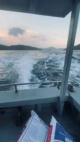 : 生活并不总是美好的，“要想看到彩虹，就得接受风雨……！”Cuộc đời không phải lúc nào cũng đẹp,