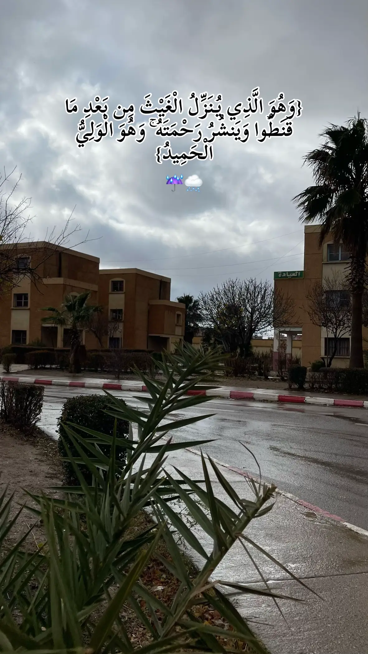 #اللهم_غيثاً_مغيثاً_نافعاً_غير_ضار #الغيث #الحمدلله_دائماً_وابداً #سورة_الشورى #قرأن #أمطار #اللهم_صلي_على_نبينا_محمد #quran #fouryou #tiktoker 