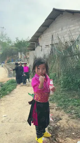 Một vẻ đẹp trong trẻo cũng những đoá hồng vùng biên#đồngvanhagiang #HàGiang #xuhuong 