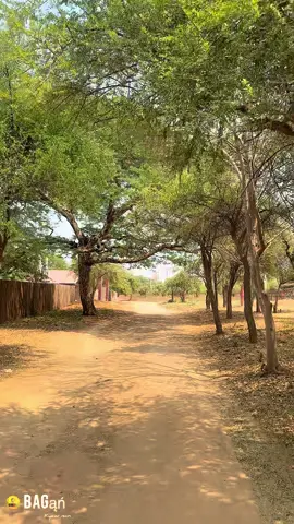 အညာဆိုတာ    သဘာဝအလှတွေနဲ့ … #Mobilephotoservice📷 #kyáwminbagan #ပုဂံ📷🥰 