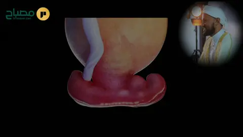 #CapCut #قران_كريم #fyp #misbahsani #quran 