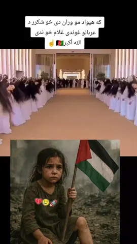 Free Palstin✌🇦🇫الله أكبر #فلسطين🇵🇸 #افغانستان #پشتون #بلوچستان #عربستان #غلام #usa #fyp #foryou #viral #views #afghanistan🇦🇫 