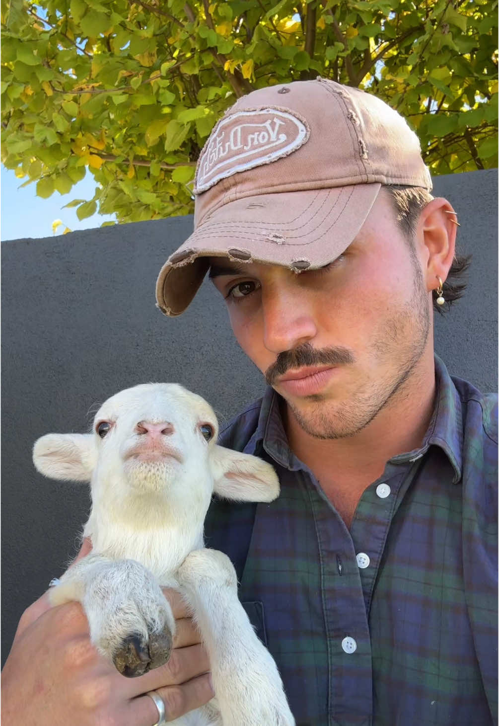 What’s up lil miss lamby #hahndorffarmbarn #grasspuppies #lambies #australia #iloveyou #foryou 