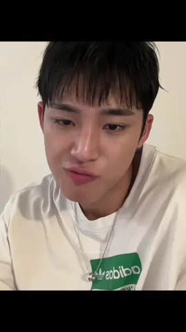 Adekkk🤏🏻 #mingyu#seventeen 