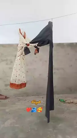 #مینه_زده_کړه_مینه_راکړه_مینه_واخله #مینه_او_ژوند🥀 