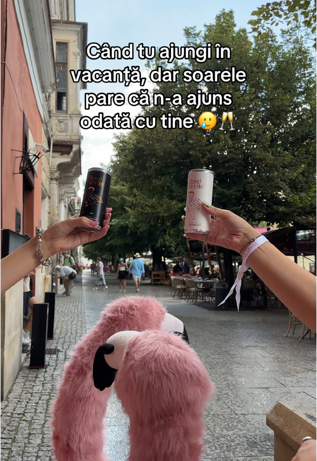 Am deschis un Rosé Verité, trebuia să vină vara… 😅🦩 #365deziledevara #LaVidaEnRose #vacanta #funny #beciuldomnesc #cheers 
