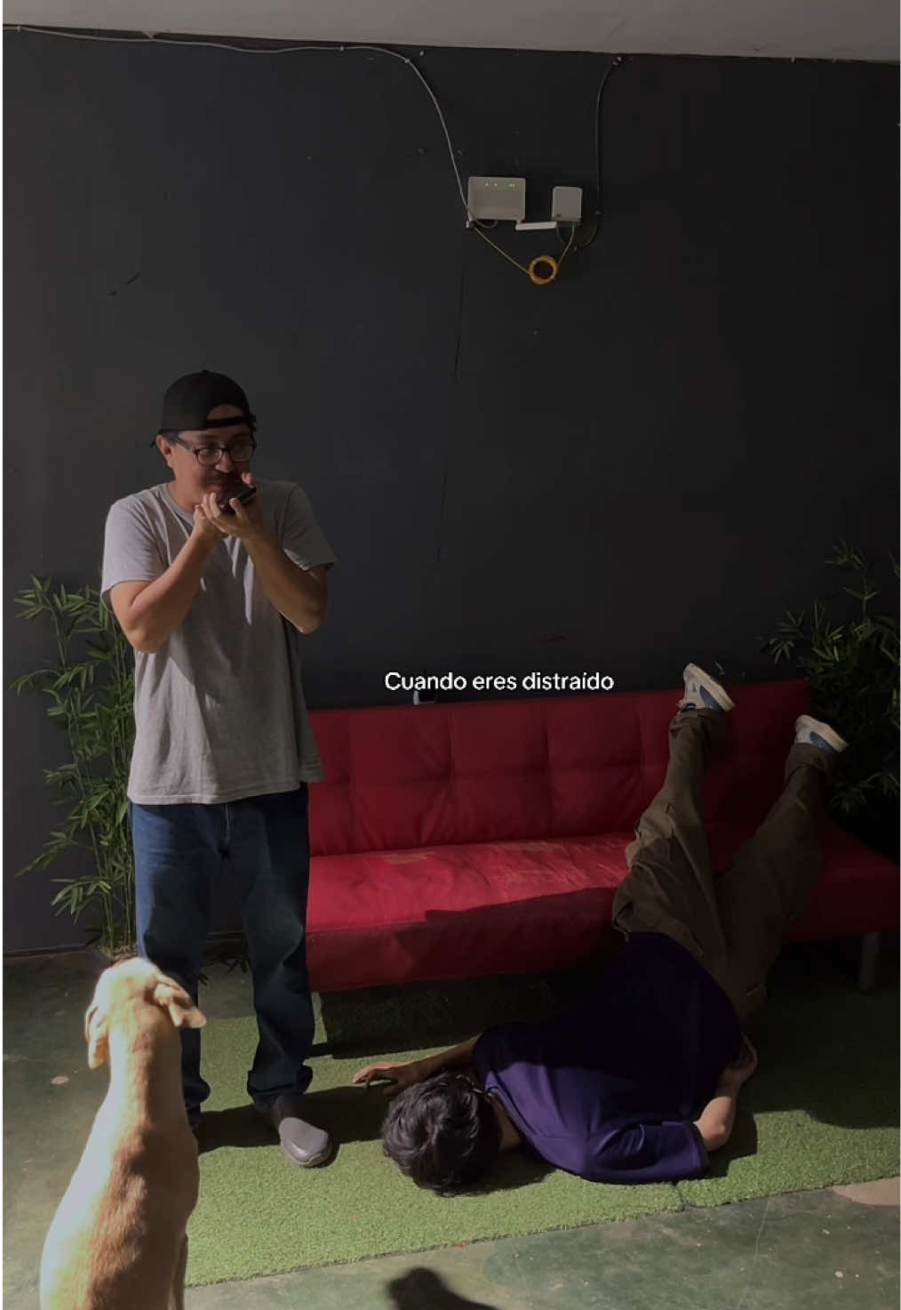 Solo supongamos #hermanos #distraido #humor