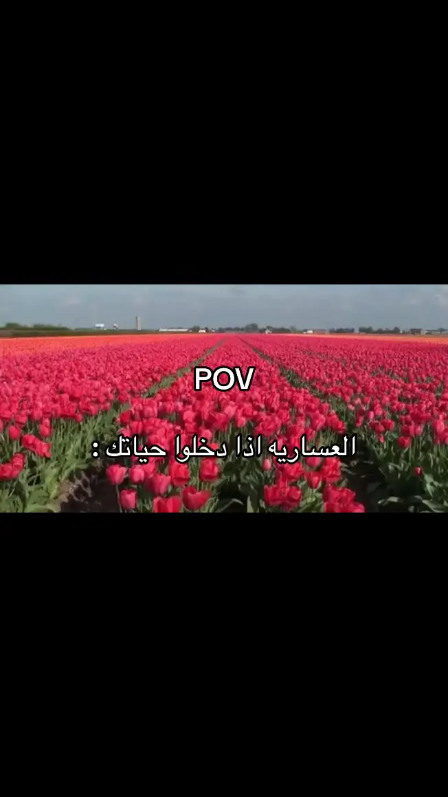 #مالي_خلق_احط_هاشتاقات🦦 #foryou #عسير_الهول #707 #ابها #aseer #abha #foryou #ابها_الان #اكسبلور 
