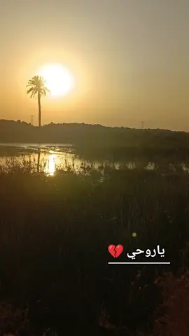 #موالات_حزينة_عراقية💔 #متابعه_ولايك_واكسبلور_احبكم 