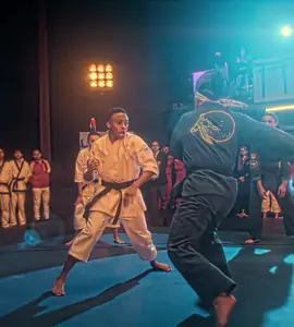 Kenny’s fighting style ☠️🔥 . . . #cobrakai #cobrakaiedit #cobrakaiedits #cobrakai🐍 #cobrakaichop #cobrakaiseason6 #cobrakaineverdies #edit #4kedit #aftereffects #fyppppppppppppppppppppppp #viralvideo 