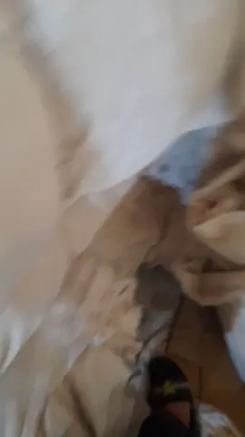 قوم _يا حمانه_😂😂🤣