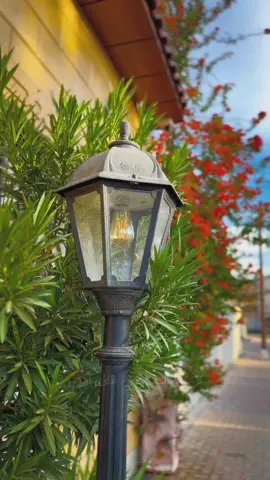 مساء الخير❤️ #تصميمي #تصويري #بدون_موسيقى #بدون_موسيقى☕🖤 #اكسبلور #دين #الرياض #تبوك #قوالب_كاب_كات #اكسبلورexplore #MaiorSaudade #pyfツ #viral #capcut #شعب_الصيني_ماله_حل😂😂 ##CapCut 