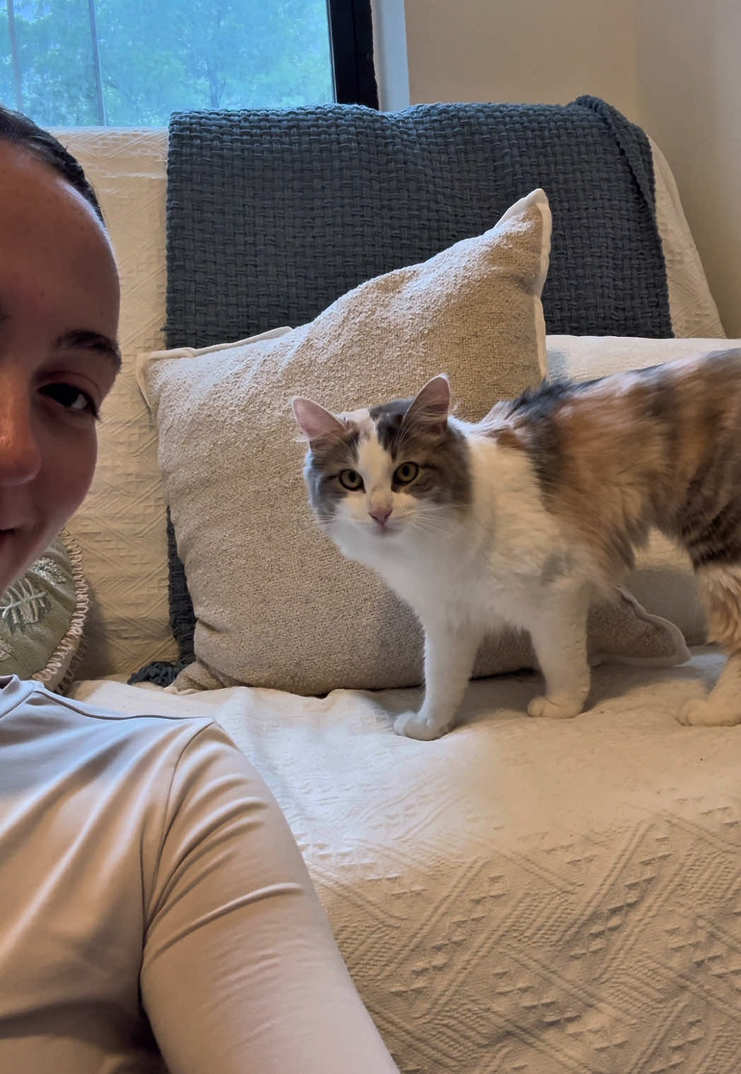 Exciting 24 hours for this little girl!!  #adoptingpets #adoptdontshop #kitten #kitty #newpets #nyc #nycpets #Vlog #morningvlog #catmom #cattok #pets #PetsOfTikTok #kittycat #adoptioncheck #morningroutine #morningvlog 