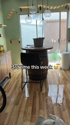 bro cmon 😭 #landlords #losangeles 