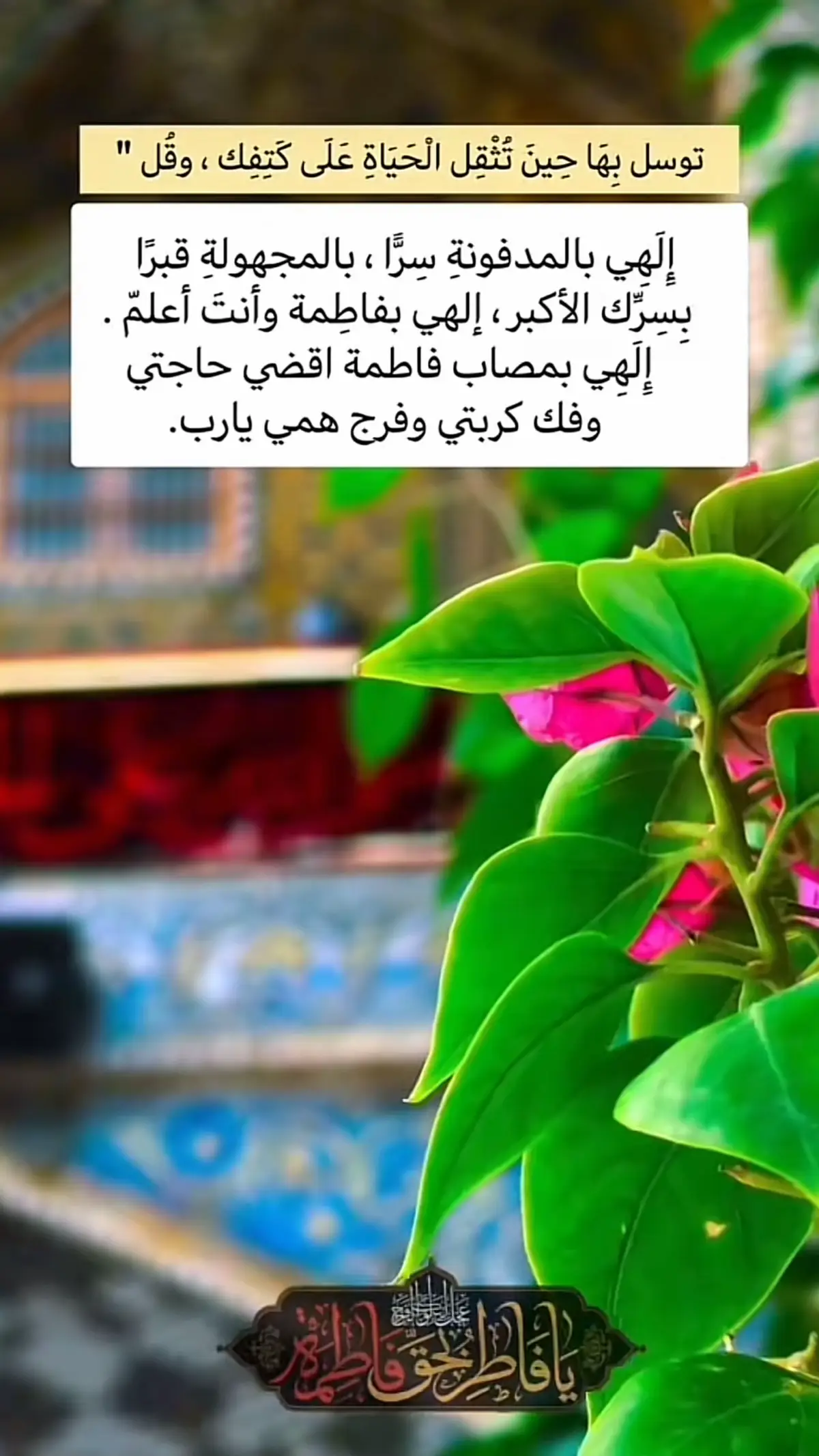 #اقوال_وحكم_الامام_علي_عليه_الاسلام #ليلة_الجمعة #اللهم_صل_على_محمد_وآل_محمد 