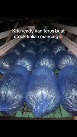 Aman pokoknya  #altafishing #galatama #galatamalele #lele #rilisanjawatimur #rilisanlele #pdajadulu #fyp #fyppppppppppppppppppppppp 