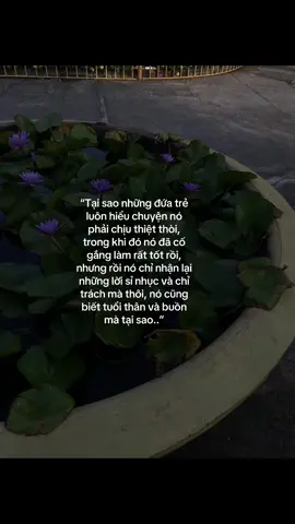 “Người ta chỉ thấy kết quả, đâu ai hiểu hết những gì mình đã trải qua.”#suy#viral 