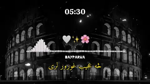 څه عجیب غورور لری ✊👂🗻 @ړنګ چنار  . . ####bayparwa6  ####rungcheainer1 