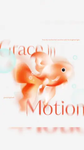 #adobeillustrator 🐟 