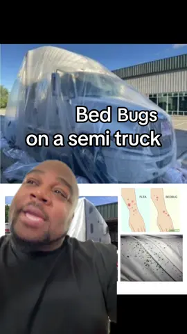 #greenscreen what’s the next step in a situation like this? I know I wouldn’t be driving this at all. #Trucker #TruckDriver #Bedbugs #Fleas #TeenDriver #TeenDriving #SemiTruck #18Wheeler. 