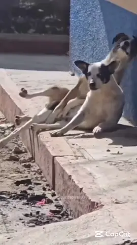 Which style is this #husband #workout #independent 