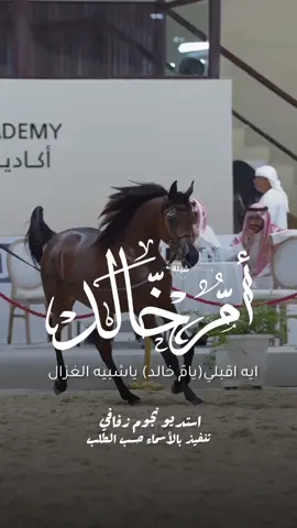 شيلة باسم ام خالد 2025 شيلة مدح ام خالد #استديو_نجوم_زفافي #لطلب_الشيلات_0505336824 #السعودية #الكويت #قطر  #تصميم_فيديوهات🎶🎤🎬تصميمي🔥 #تصميم_اسماء_حسب_الطلب #شيلة_باسم_ام_خالد #شيلة_ام_خالد #ام_خالد 