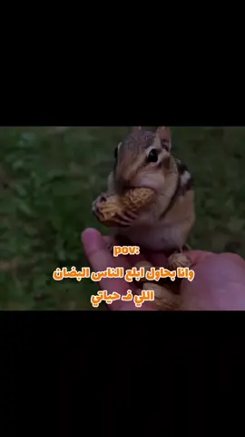 #foollow #foryou #fyppppppppppppppppppppppp #ميمز_مضحكة #fyp #viral #explore #مالي_خلق_احط_هاشتاقات #الشعب_الصيني_ماله_حل😂😂 #الرتش_فى_زمه_الله💔 #foollow #كوميديا #حالات_واتس #foryoupage #memes 