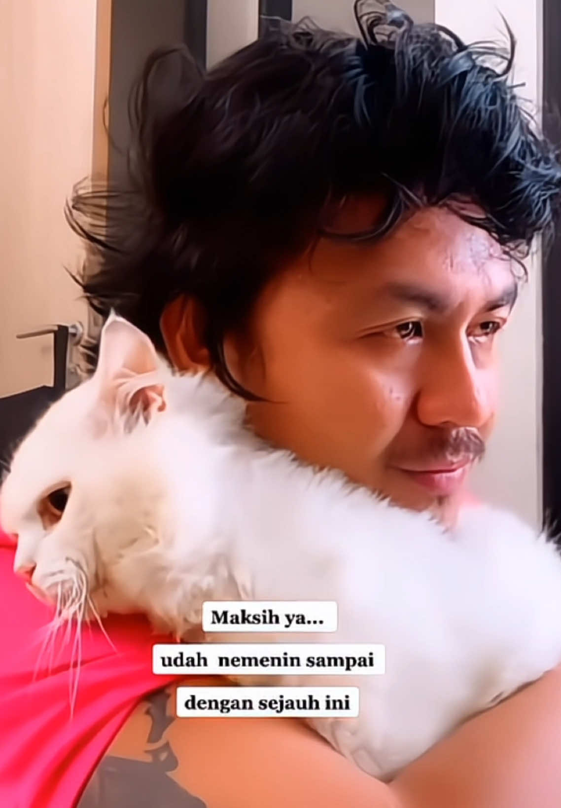 TERIMAKASIH UNTUK 7TAHUN NYA🐈🐈😭Save di tiktok buat jadi kenangan🥺