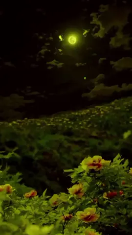 #motivationalquotes #motivation 