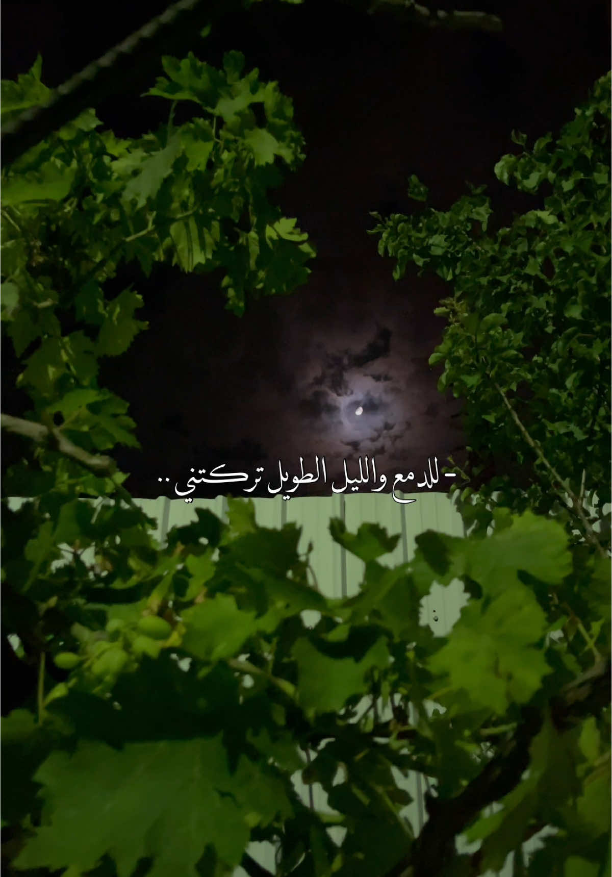 - عباراتكم بالفُصحى عن الشوق ؟. 