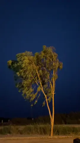 هوا گهلي ٿي چُڳن ۾ ، اڏار آهي بهار آهي ، اڃا تہ جهومي پيو صنوبر ، ٽڙي پيو ديودارُ آهي . اڃان پياريو اچن وڃن ٿيون ، محبتون مرڪ کي مڃن ٿيون ، اڃا ٿيو ناھ جام خالي ، اڃان اکين ۾ خمار آهي . اڃان محبت مُئي نه آهي سڳو به آهي سُئي به آهي، اڃان ته ياري ڪشيدڪاري، نئين اُڻت جيئن پيارُ آهي اڃان نہ ٿيون خواب جئن جوانيون ، اڃا تہ مضراب جئن جوانيون ، اڃان تہ سُر ساز مان وڄن ٿا ، اڃان بدن ڄڻ سِتار آهي . اڃان گلن شبنمي پيالون ، ڀري پيون ٿا اڃان جِيون ٿا ، اڃان جواني وئي نہ آهي ، اڃان تہ مئي ۾ خمار آهي . اسان اوهان جا اڃان بہ ناتا ، جڏهن اکين اوچتو سُڃاتا ، تہ دل پئي مئڪدا ڏسي ، اڃا اُئين ميگسار آهي . مَسين مَسين راتڙي ڀني آ ، ڪٿي تہ رابيل اڄ ٽڙيو آ ، اچي پئي سا عجيب خوشبو ، “اياز “ دل بيقرار آهي