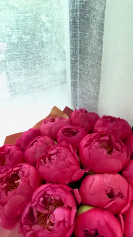 Just flowers ❤️ #flow #flowers #flower #beautiful #beauty #magical #bujori #peonies #rose #roseattitude #pink #dontcare #romania #romania🇷🇴 #destinationdepop #destinationwedding 