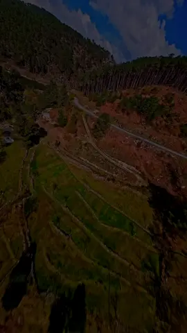 سوڕەتی (النساء) - القارئ : سعد الغامدي